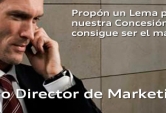 Eres nuestro Director de Marketing