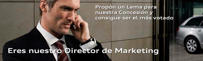 Eres nuestro Director de Marketing